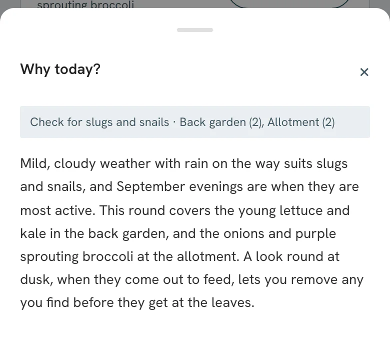 Vercro Why today? sheet for Check for slugs and snails in the back garden and the allotment: mild, cloudy weather with rain on the way suits slugs and snails, September evenings are when they are most active, and this round covers the young lettuce and kale in the back garden and the onions and purple sprouting broccoli at the allotment.