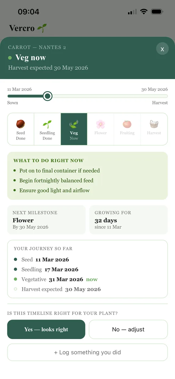 Vercro crop timeline from seed to harvest